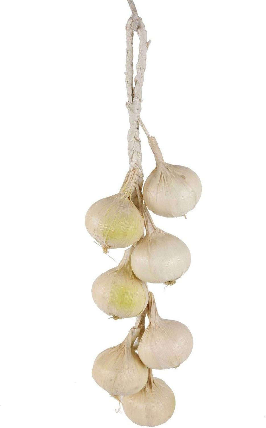 Flora Bunda Braided Strand of 7 Artificial White Onions on String