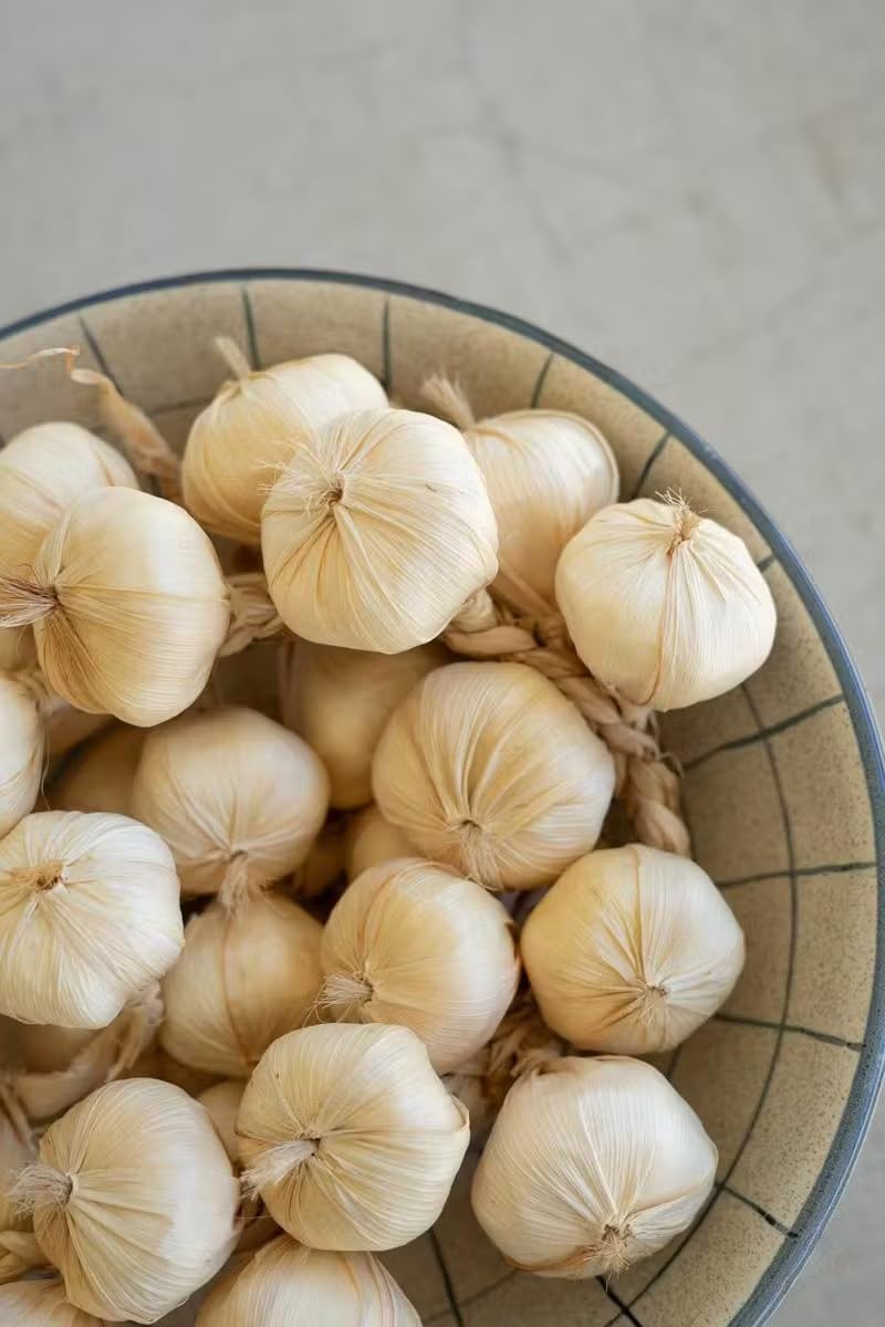 First of a Kind Artificial Garlic String Decor