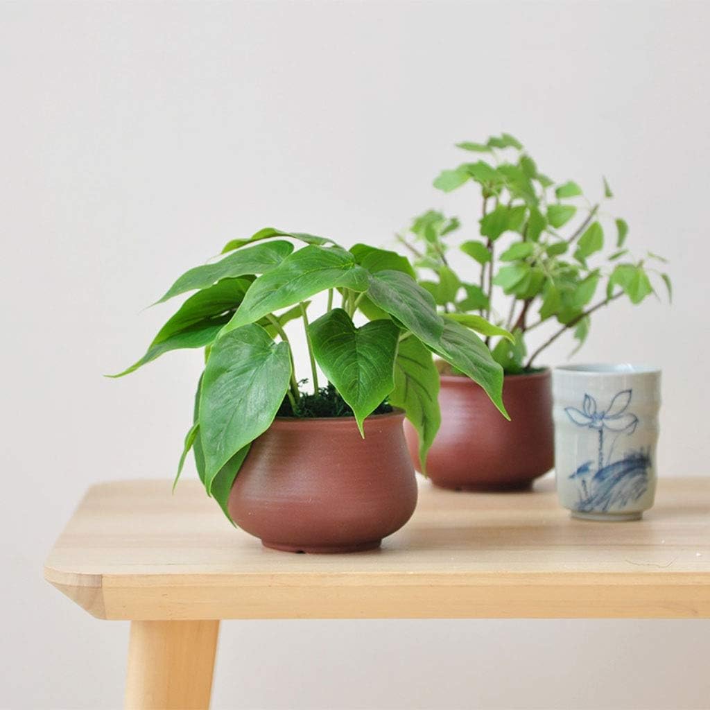 Artificial Bonsai Tree with Realistic Leaf Texture
