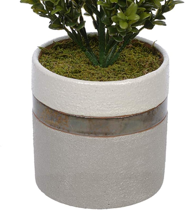 House of Silk Flowers Artificial 22-inch Boxwood Topiary in Ceramic Pot