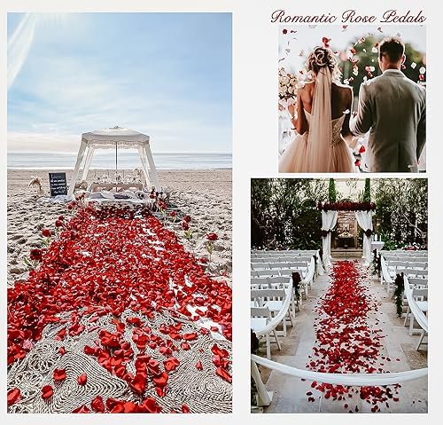 1000 Piece Artificial Rose Petals for Romantic Events