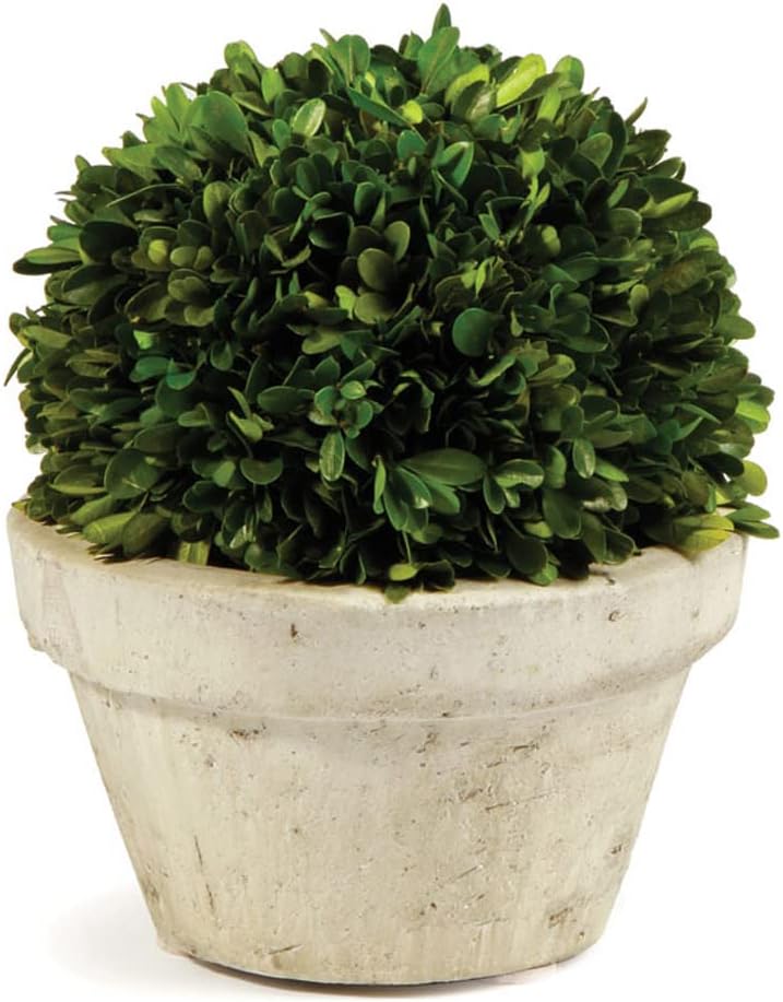 MY SWANKY HOME 10-Inch Ball Topiary Artificial Boxwood
