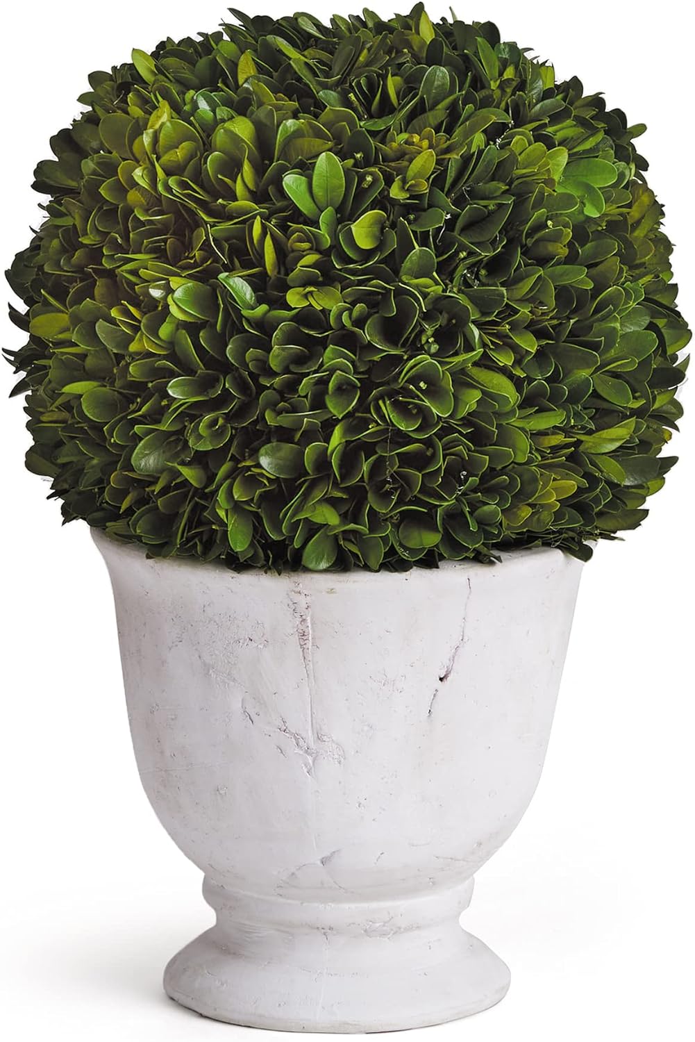 MY SWANKY HOME Elegant 12in Ball Sphere Topiary in Pot