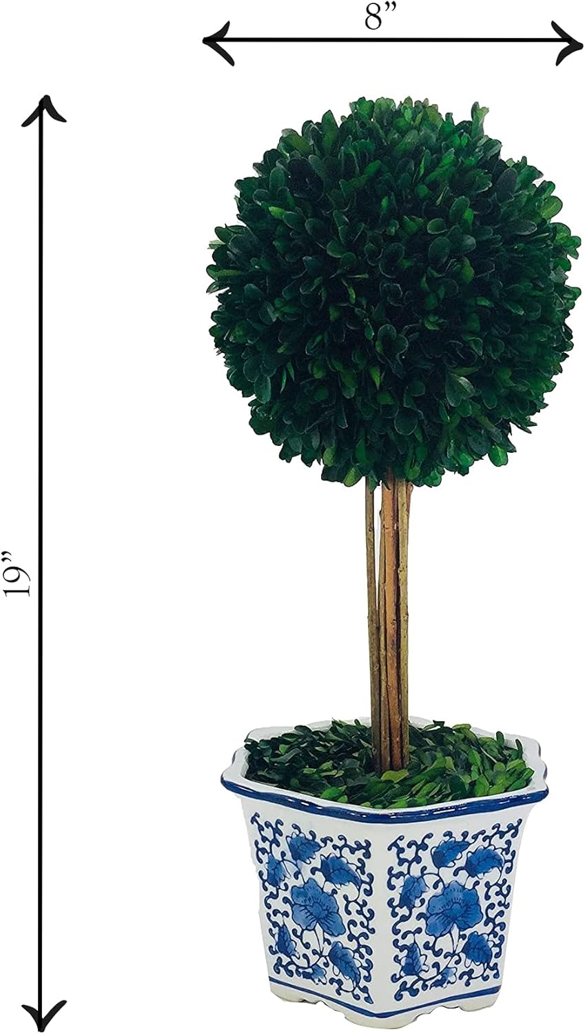 Galt International Preserved Boxwood Topiaries Blue White Pot 11 Ball 19 Tree