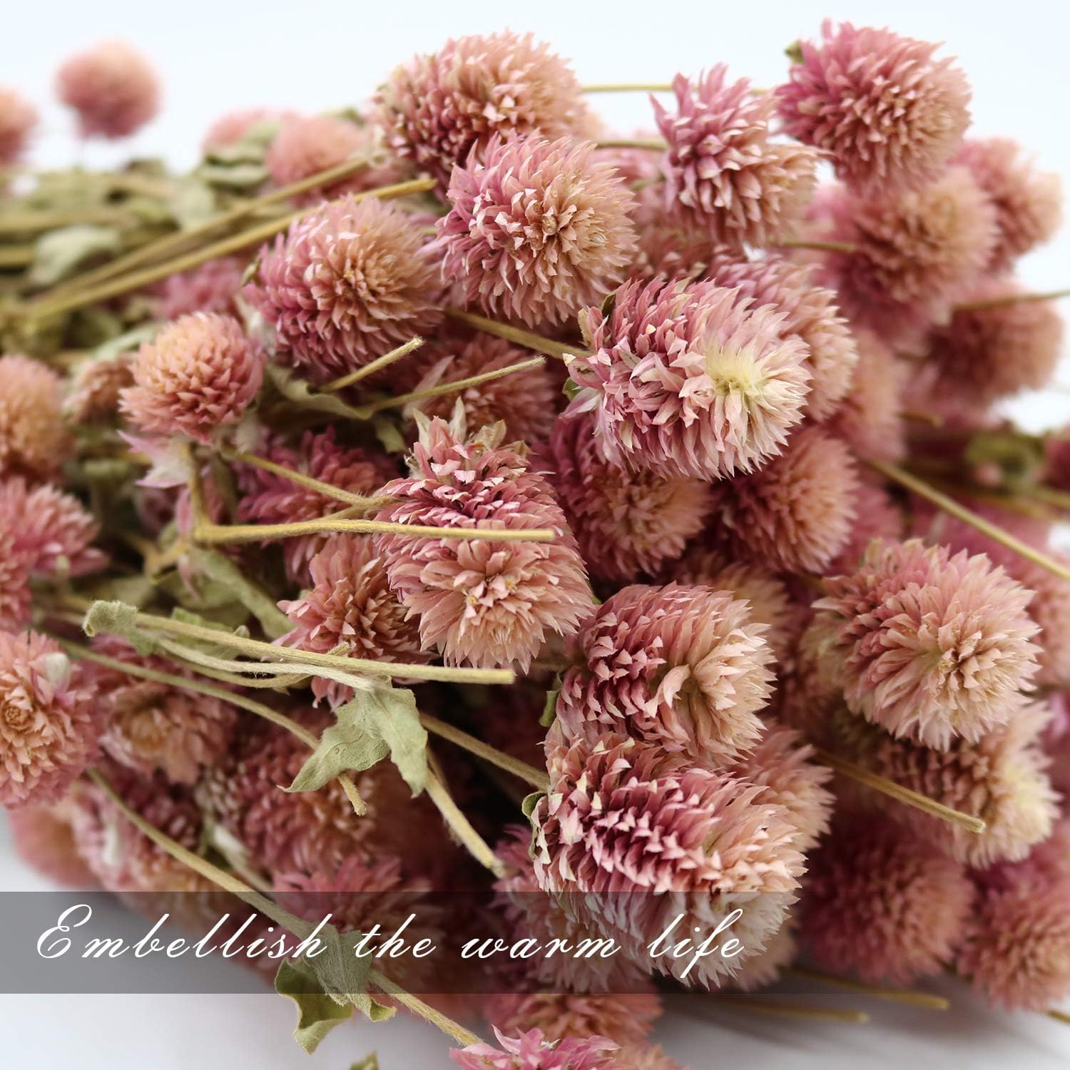 MIHUAGE Dried Flower White Globe Amaranth Decor Bouquets Pink