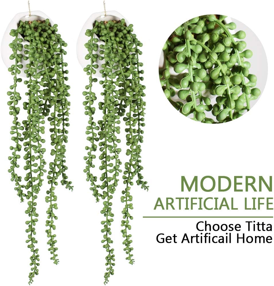 Tiita Artificial Succulents Hanging Plants Set of 2