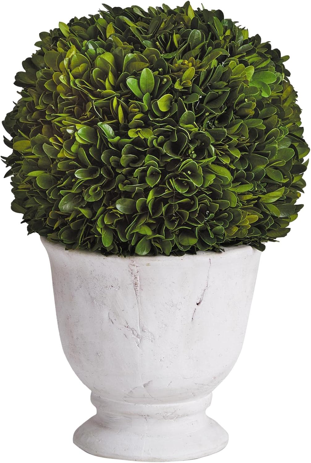 MY SWANKY HOME Elegant 12in Ball Sphere Topiary in Pot