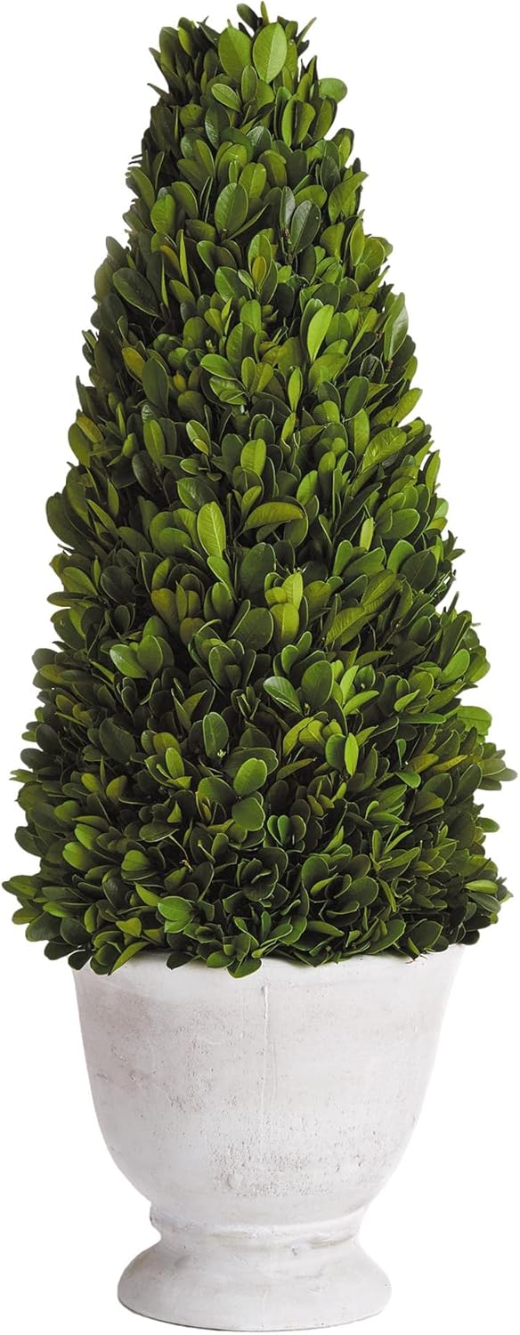 MY SWANKY HOME Elegant 19 in Cone Topiary in Pot