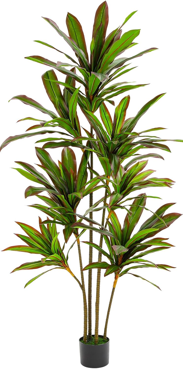 VIAGDO 6ft Artificial Dracaena Plant with Red Leaf Margin