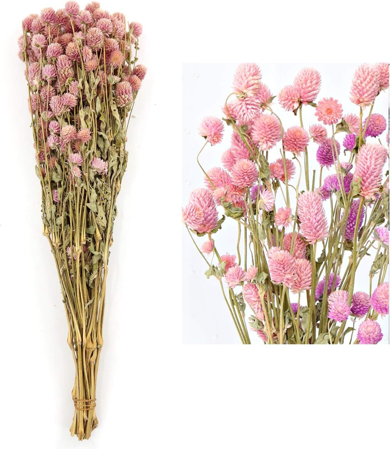 MIHUAGE Dried Flower White Globe Amaranth Decor Bouquets Pink