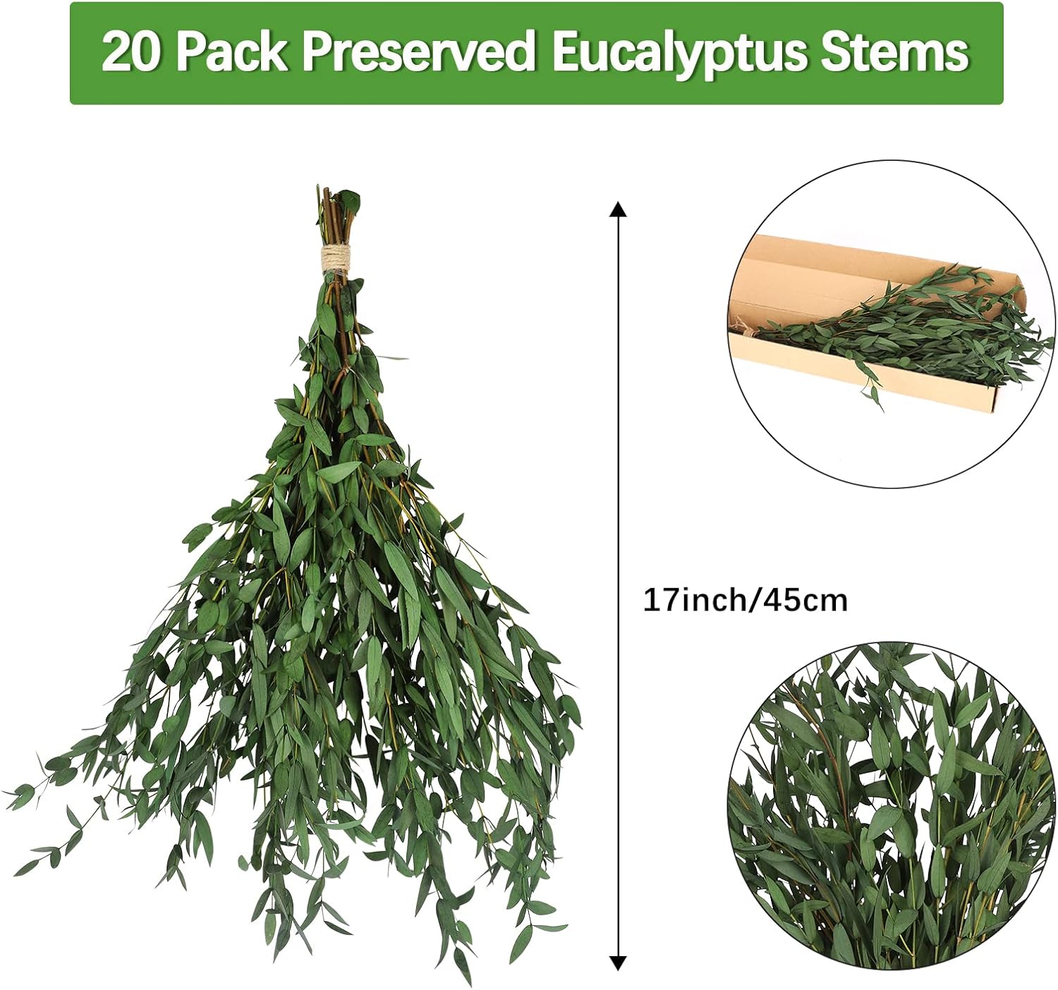 Real Eucalyptus Stems 20PCS 17 Inch Dried Greenery Decor