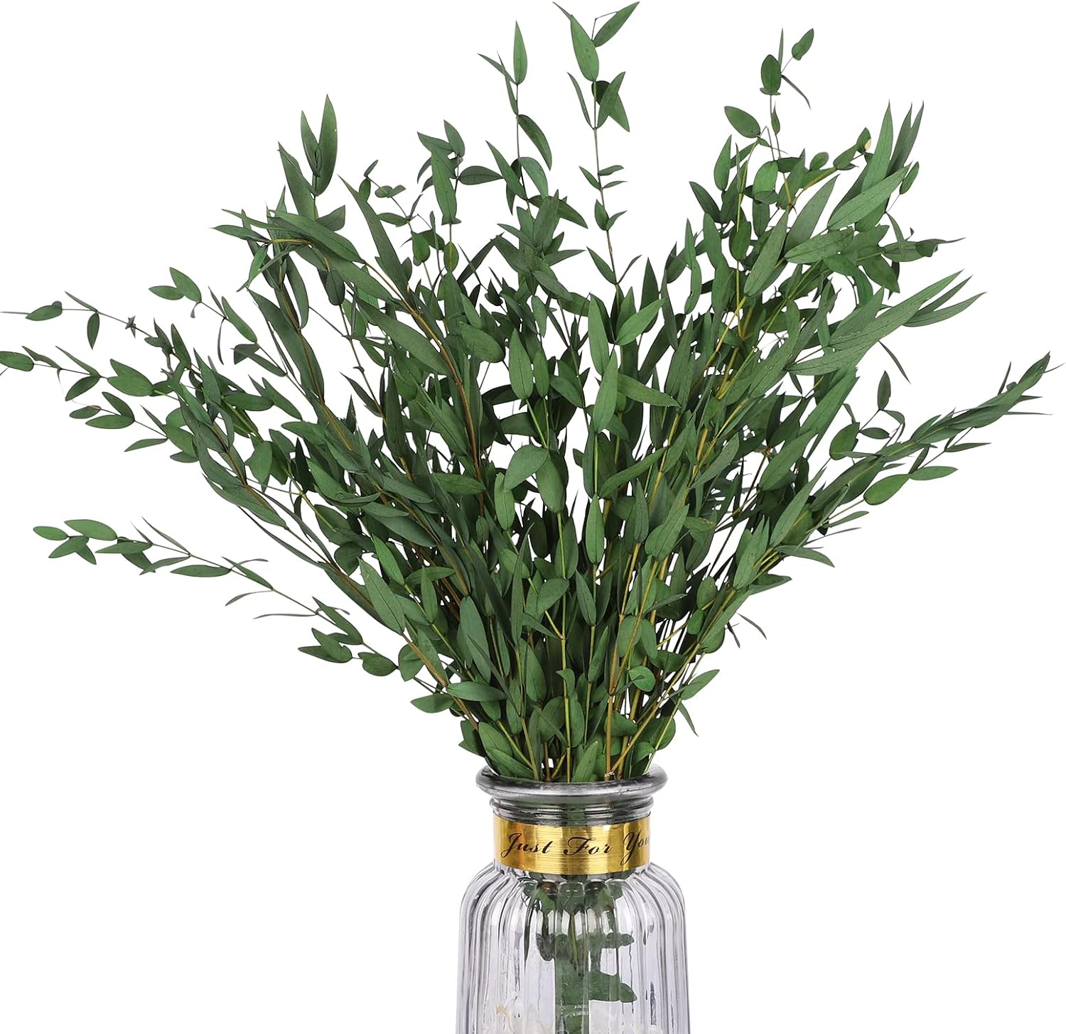 Real Eucalyptus Stems 20PCS 17 Inch Dried Greenery Decor