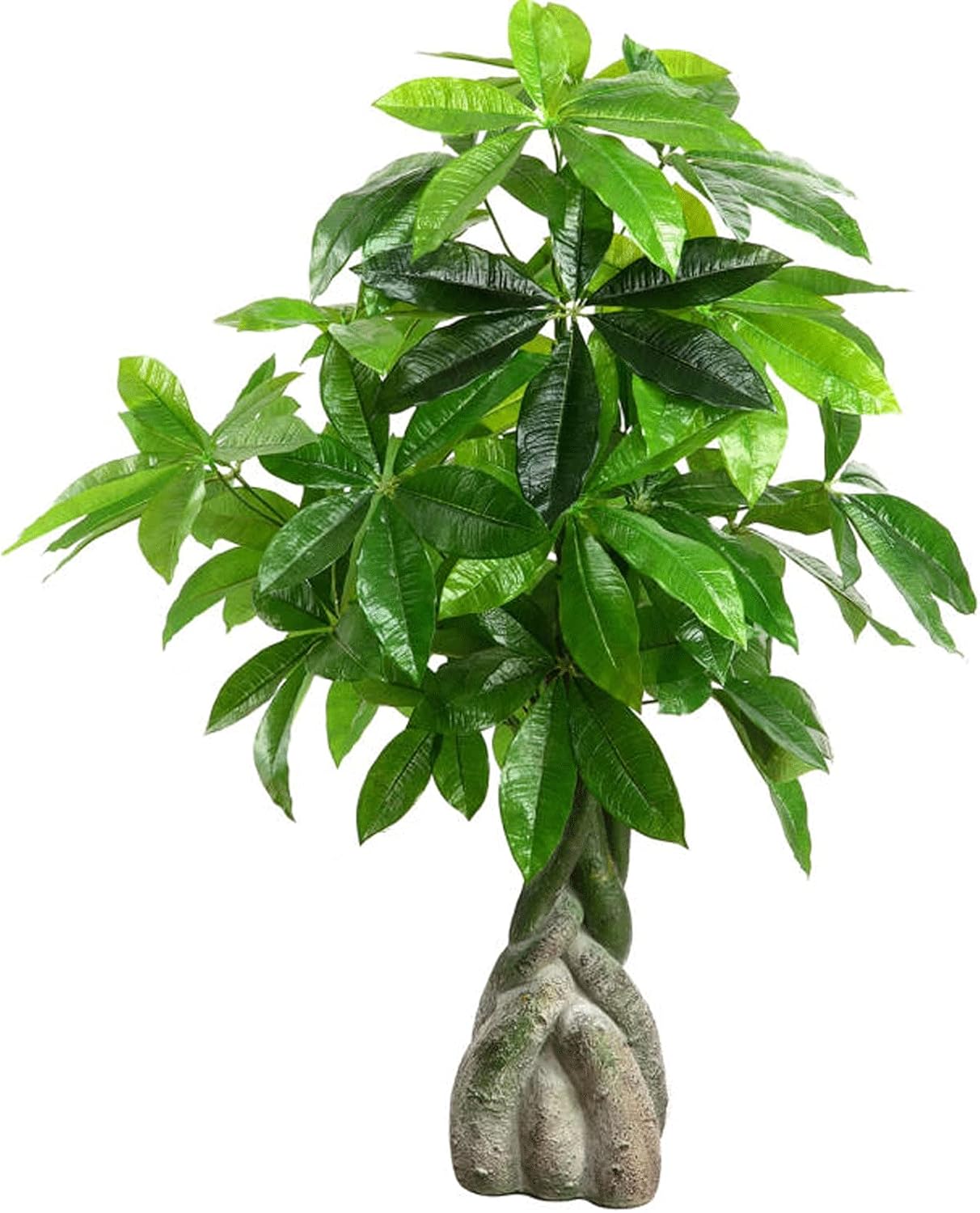 39 Inch Artificial Bonsai Tree Realistic and Beautiful
