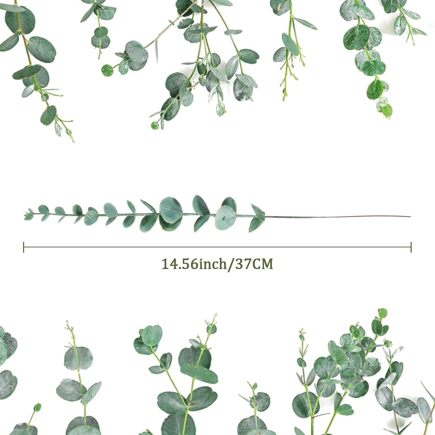 Sukh 24pcs Artificial Eucalyptus Stems for Decor