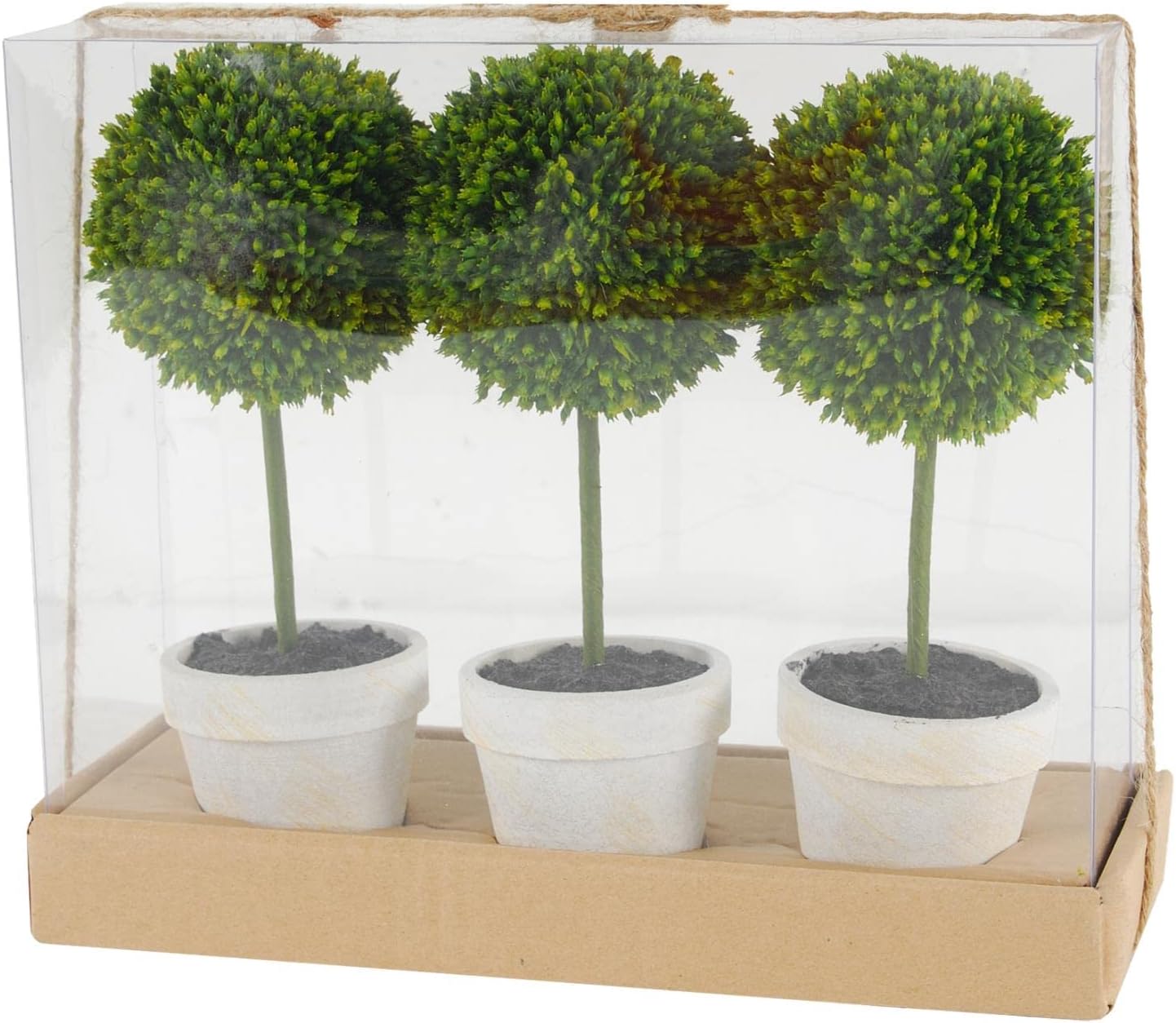 Decorative Topiary Gift Box Set of 3 - Green