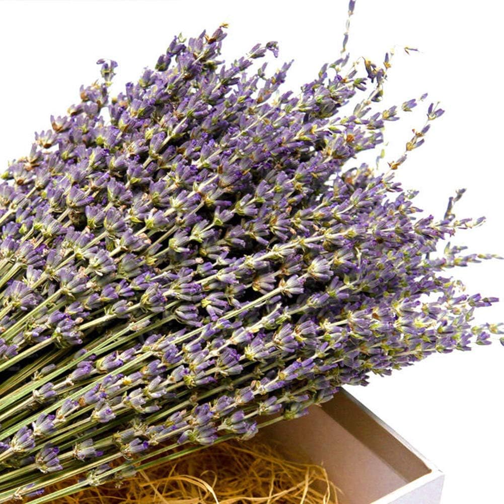 TooGet Natural Lavender Bundles 400 Stems Dried Lavender Bouquet 16-18 Inches