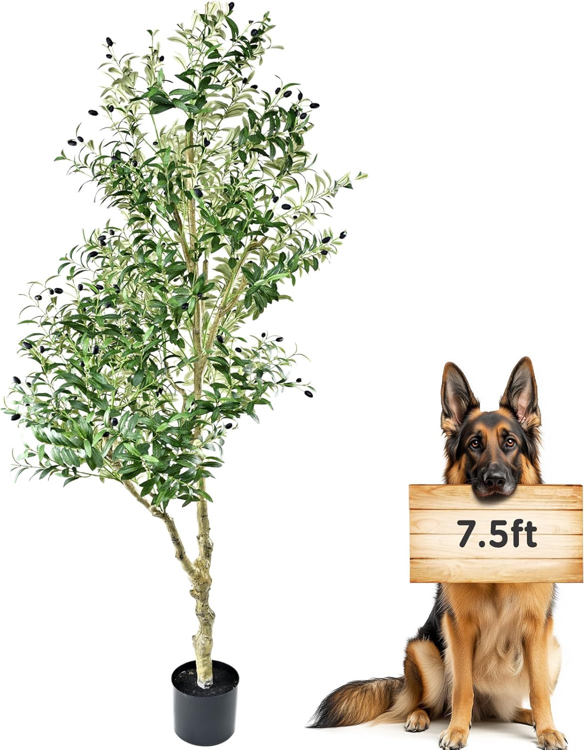 75ft Tall Artificial Olive Tree for Home Decor