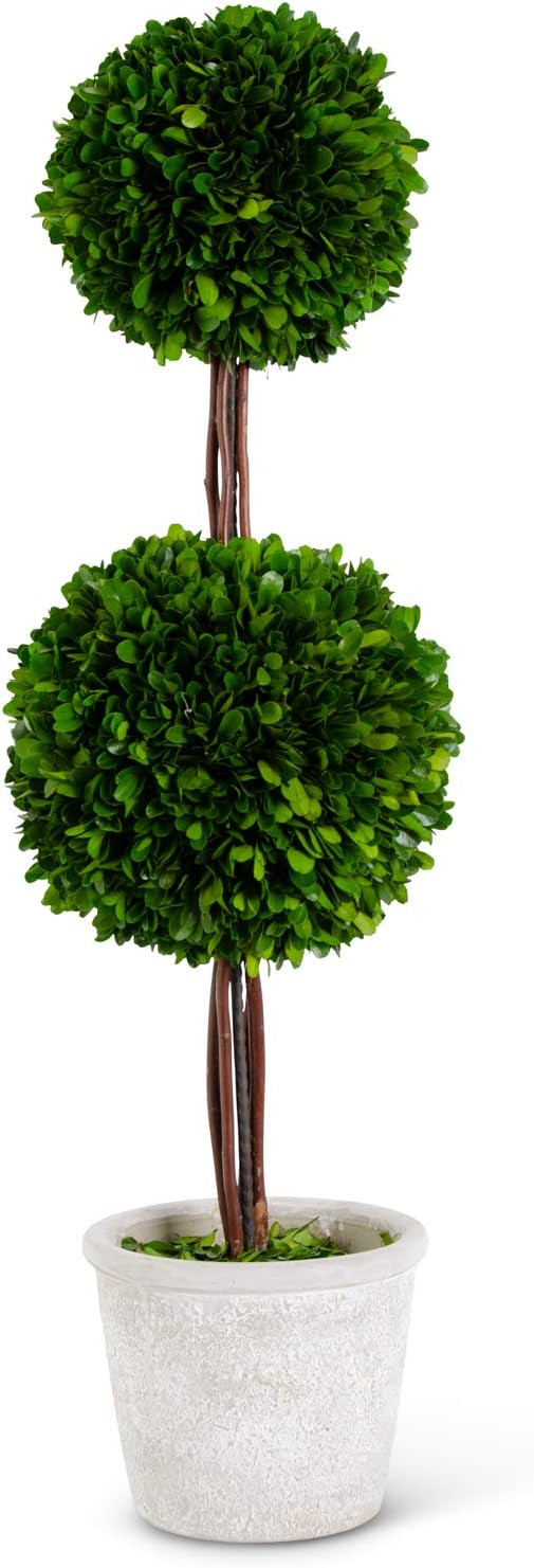 KK Interiors 275 Inch Preserved Boxwood Double Ball Topiary in Whitewashed Pot