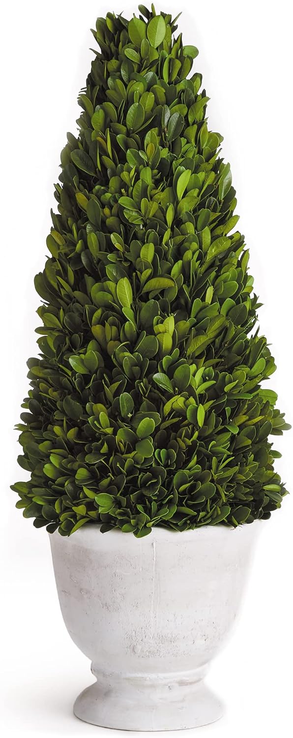MY SWANKY HOME Elegant 19 in Cone Topiary in Pot