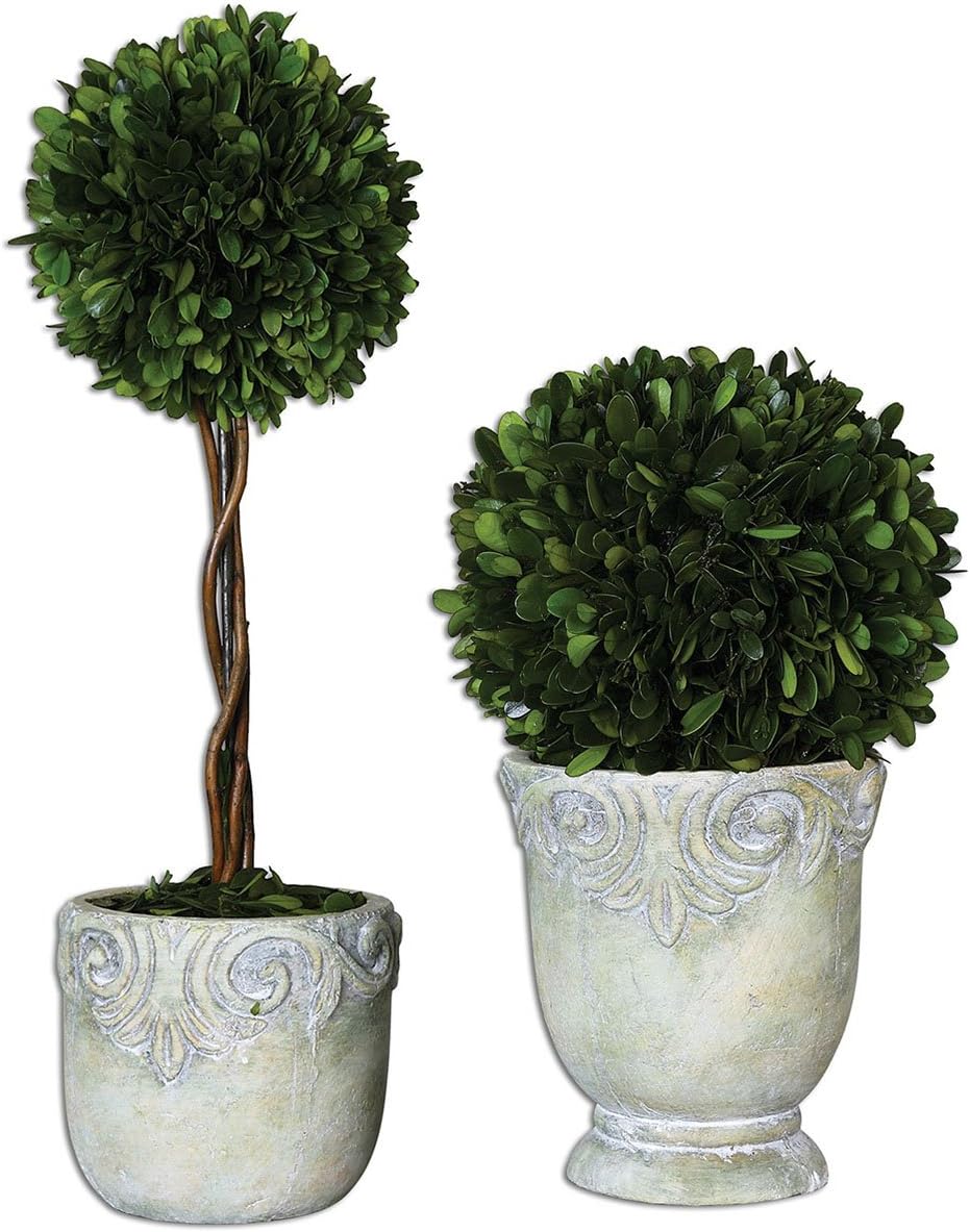 Uttermost 60112 Preserved Boxwood Ball Topiaries Set of 2