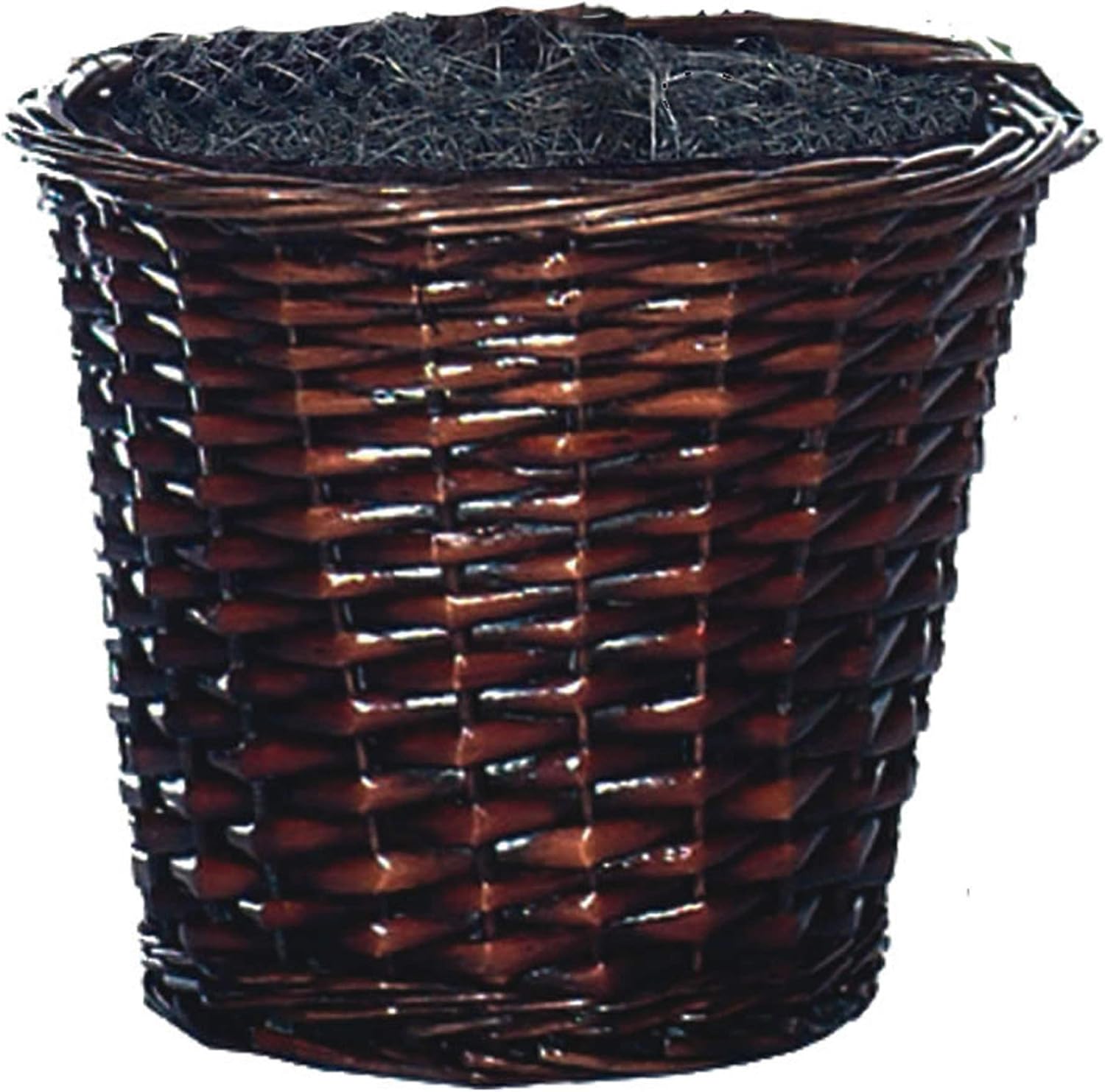 Vickerman 4 Foot Artificial Ming Aralia Bush in Rattan Basket