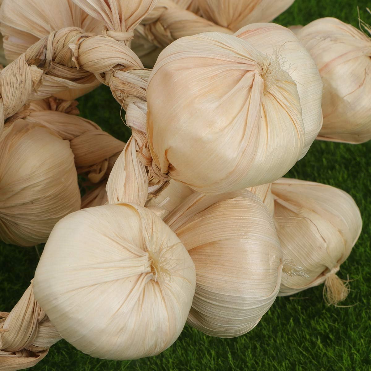 BESPORTBLE Garlic Hanging Strings for Home and Halloween Decor