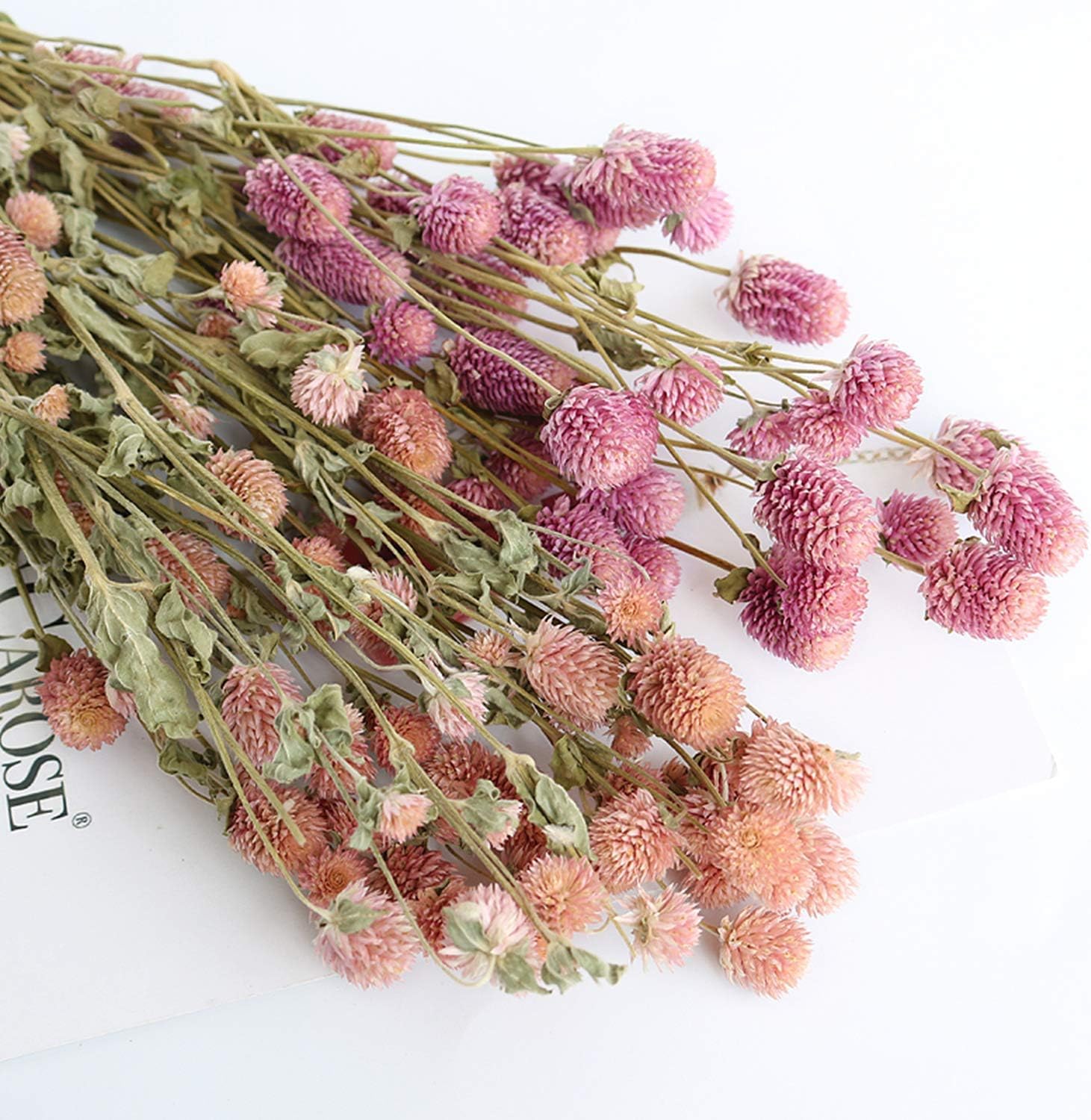 MIHUAGE Dried Flower White Globe Amaranth Decor Bouquets Pink
