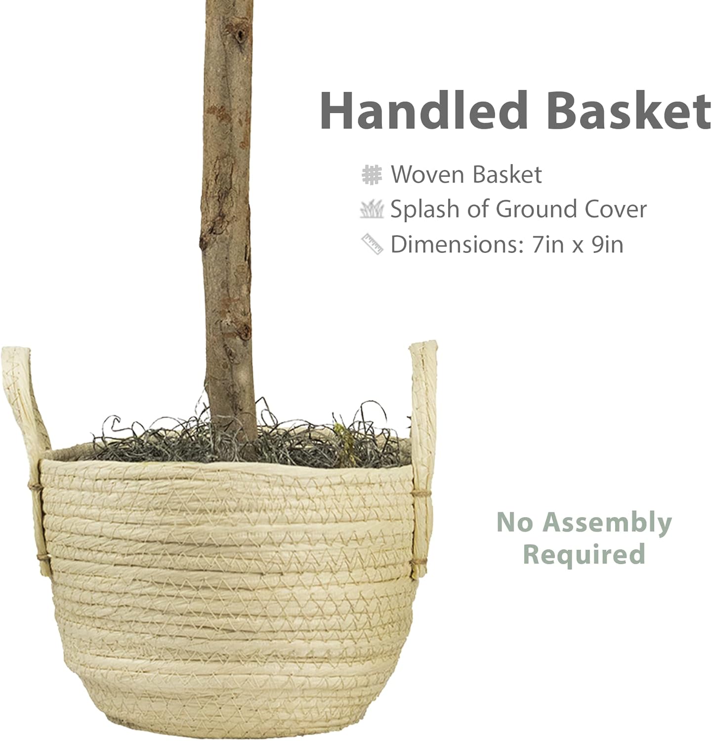 3FT Fig Tree in Boho Woven Basket Faux Plant