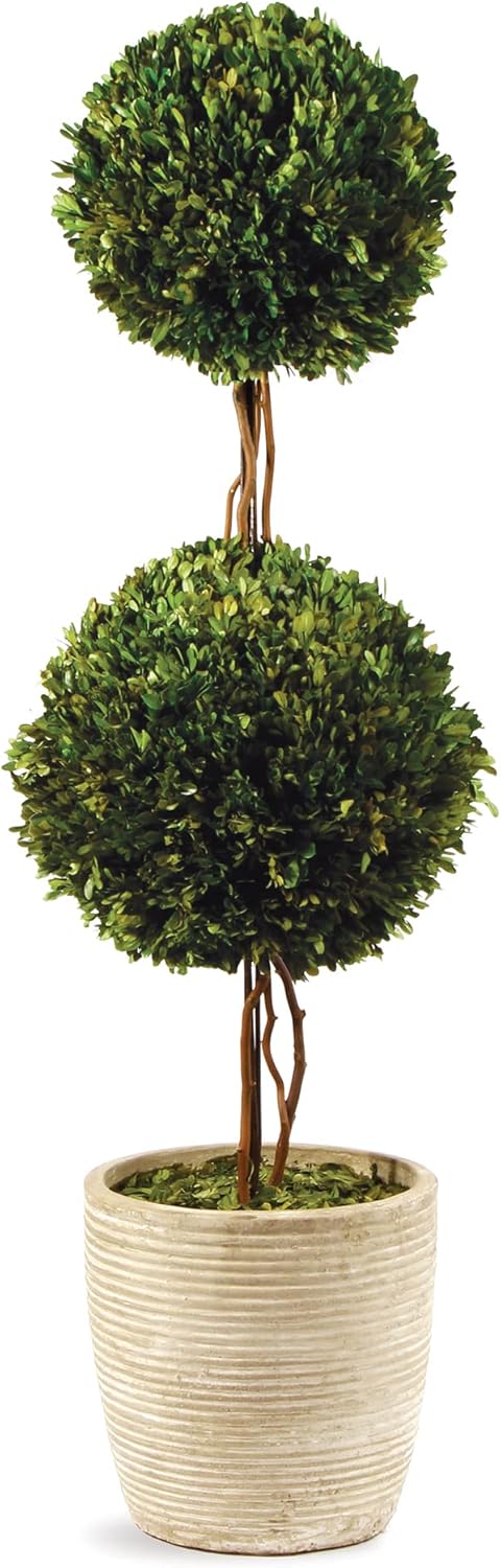 Napa Home Garden Preserved Boxwood Double Sphere Topiary