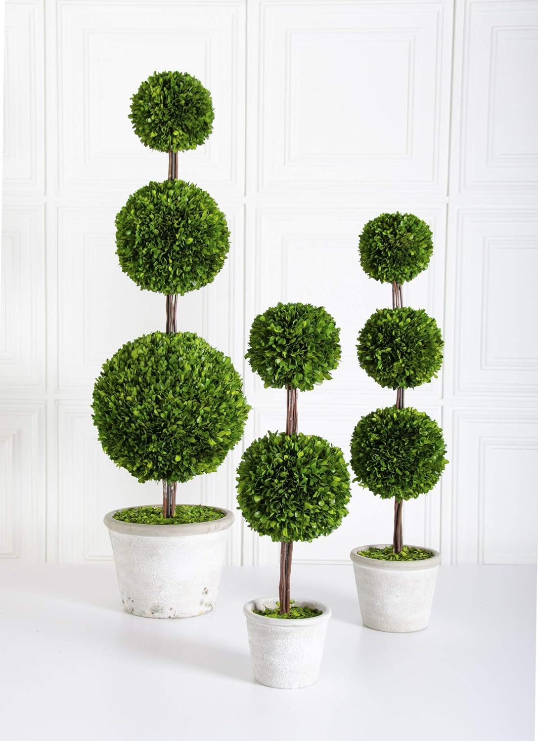 KK Interiors 275 Inch Preserved Boxwood Double Ball Topiary in Whitewashed Pot
