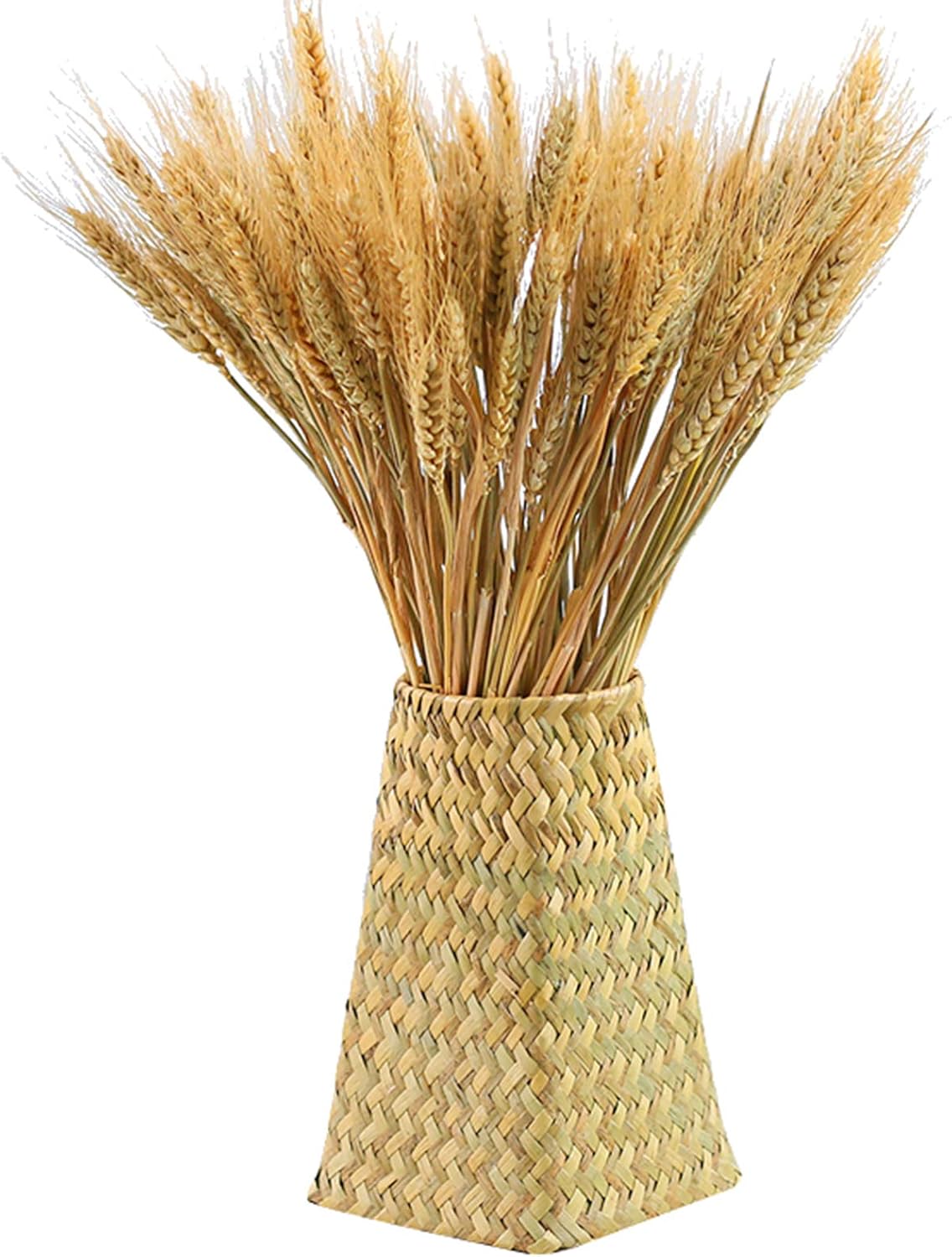 Yarlung 300 Stems Dried Wheat Sheaves 16 Inch NaturalFall Decor