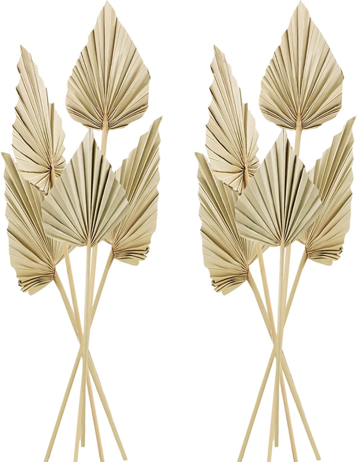 Cenkaiyang 10 Pcs Boho Dried Palm Spears Leaves Decor