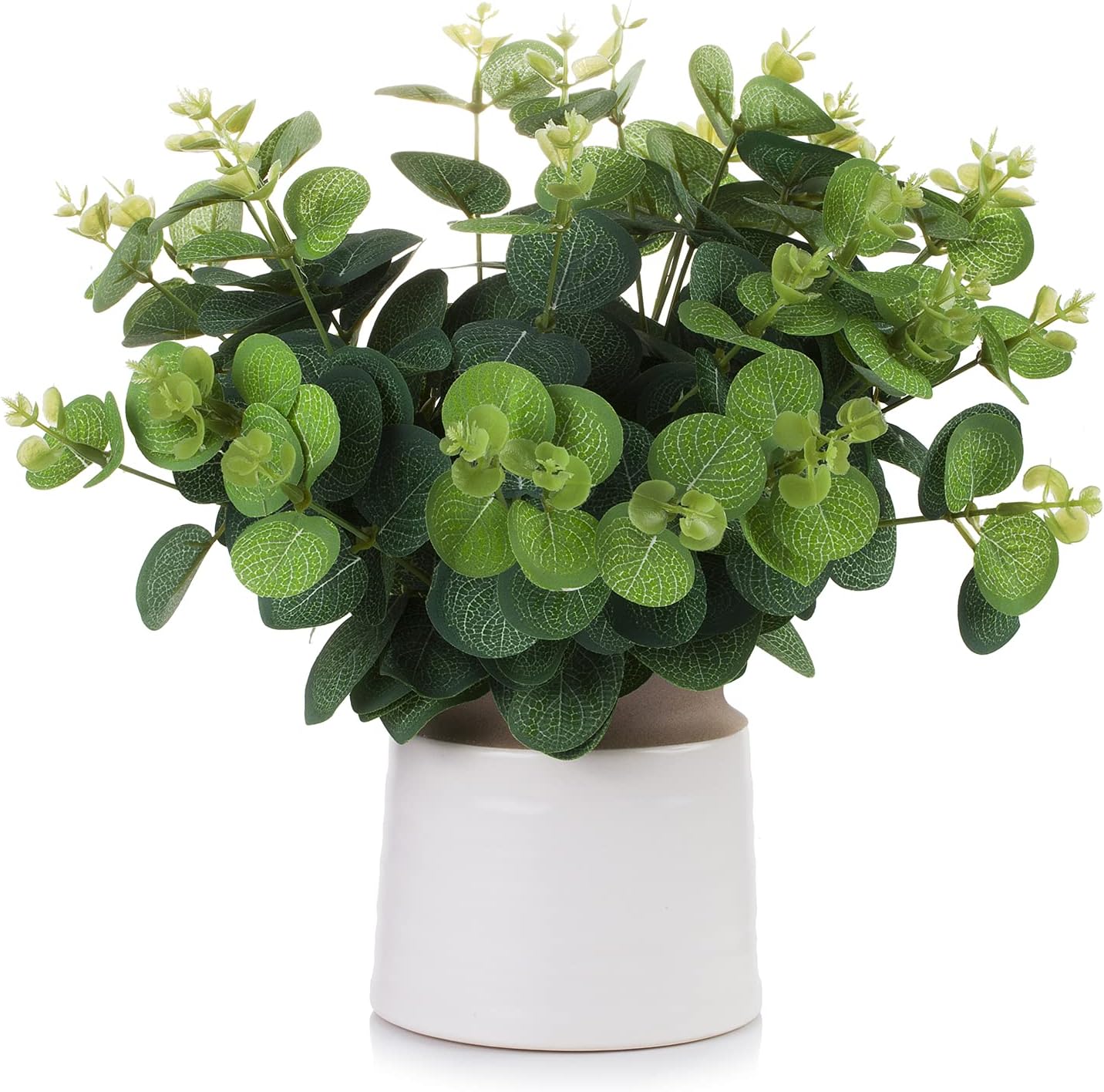 Enova Floral Artificial Topiary in Ceramic Pot