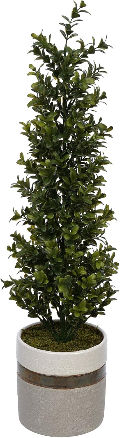 House of Silk Flowers Artificial 22-inch Boxwood Topiary in Ceramic Pot