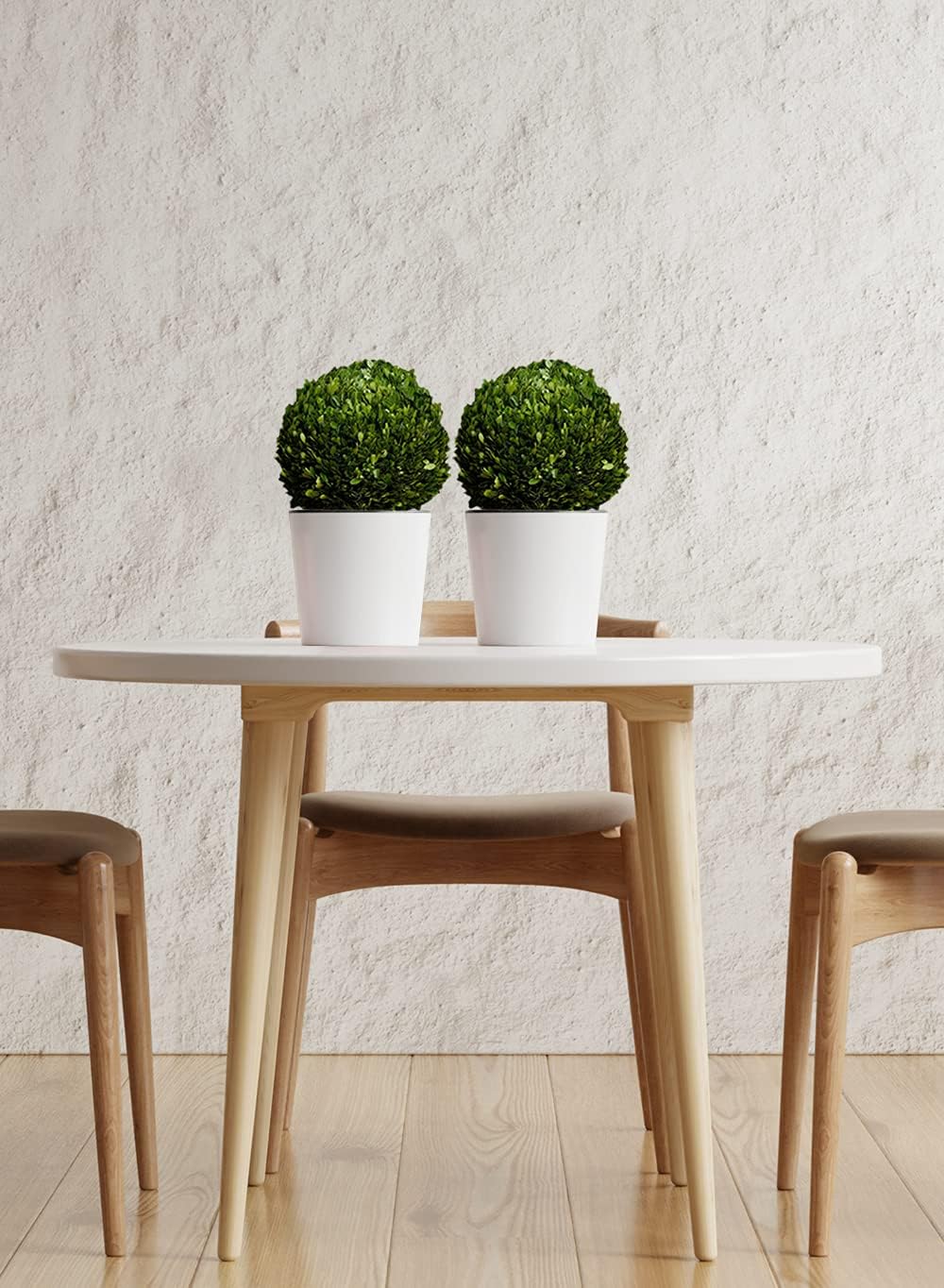 Serene Spaces Living 12 Inch Preserved Boxwood Ball
