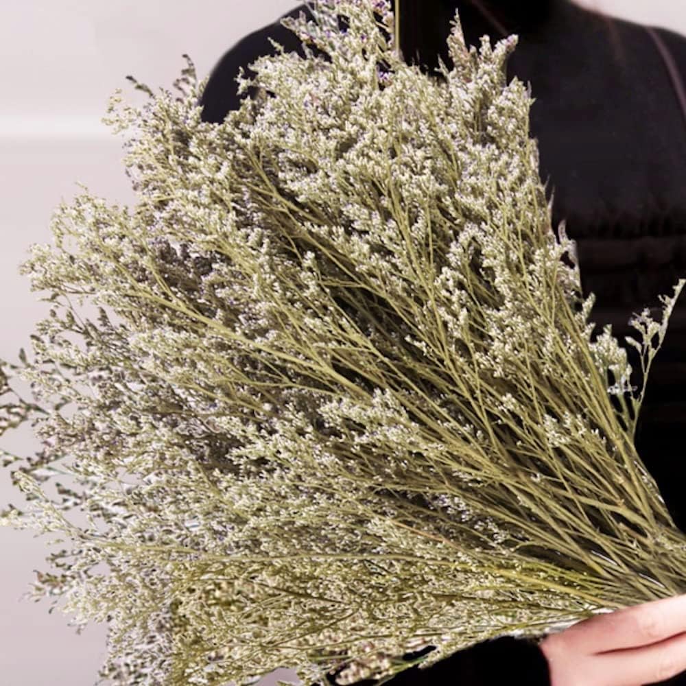 Saipro Preserved Limonium Bouquet 25 Stems Real Fresh Sea Lavender