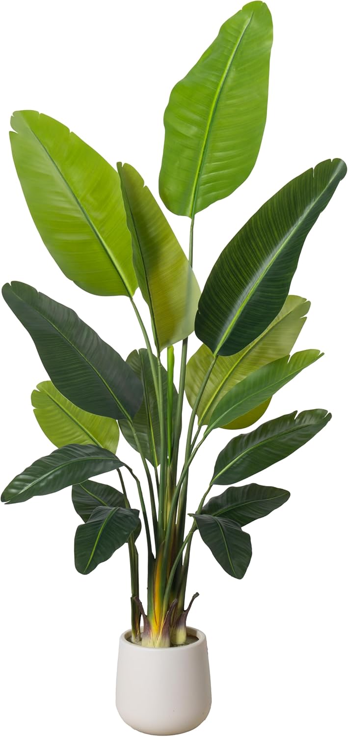 6FT Bird of Paradise Artificial Plants with White Planter