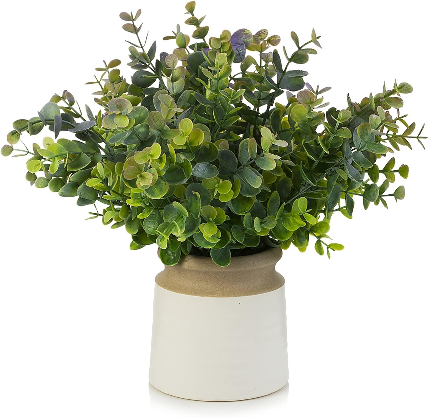 Artificial Eucalyptus Topiary in White Ceramic Pot
