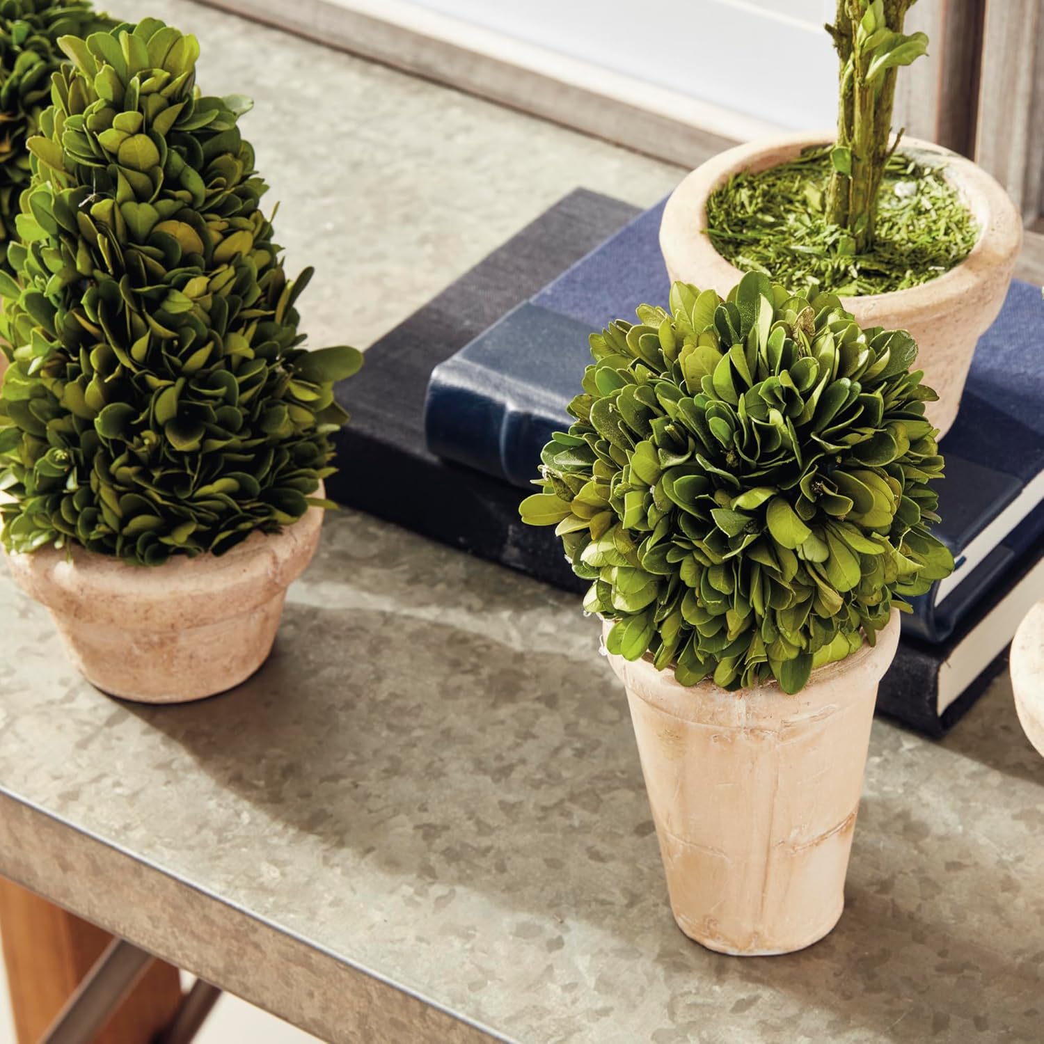 Traditional Garden Boxwood Topiaries Set Of 5 Green