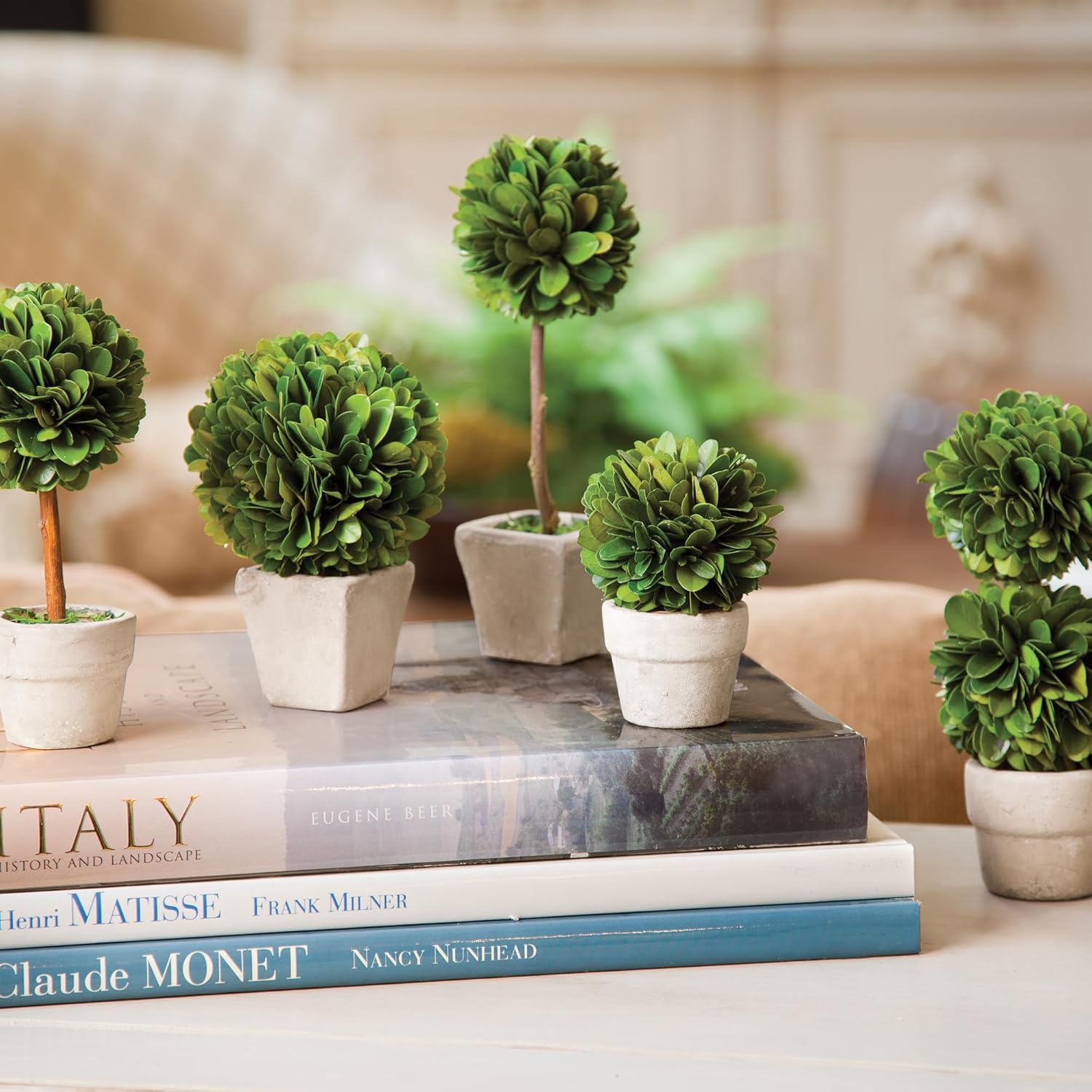 Napa Home Garden Boxwood Mini Topiaries Set of 5 Green