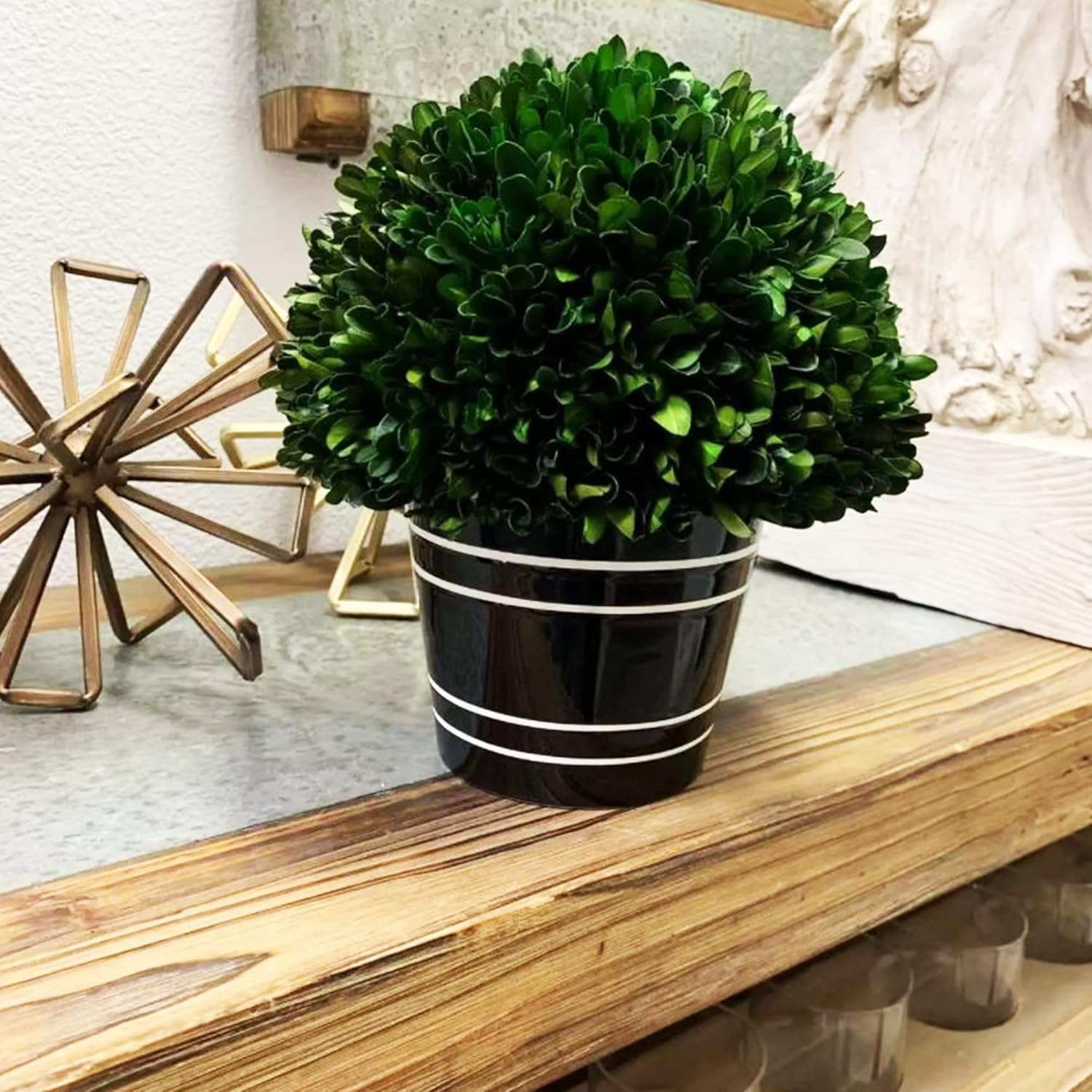 Holiday Depot Artificial Boxwood Tree with Greek-Style Pot