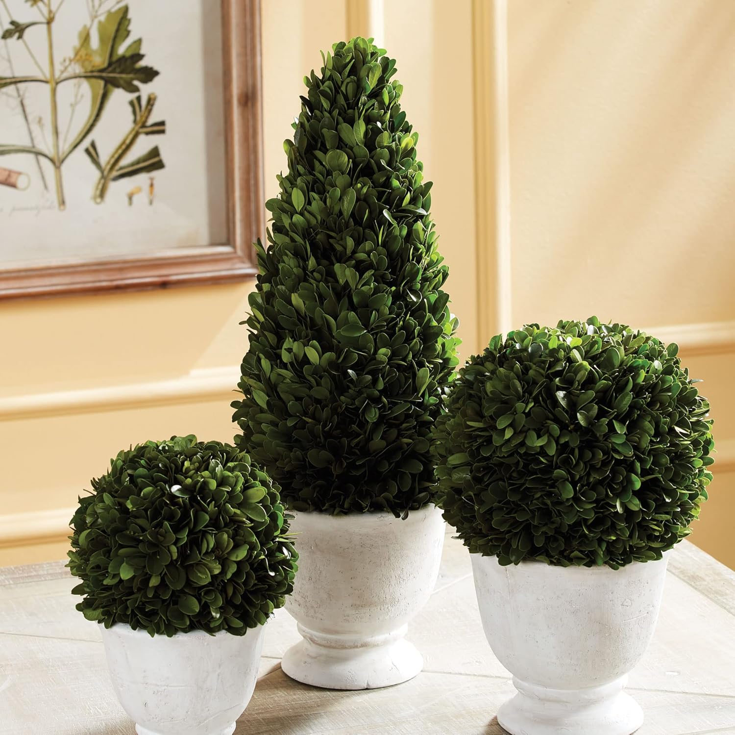 MY SWANKY HOME Elegant 19 in Cone Topiary in Pot