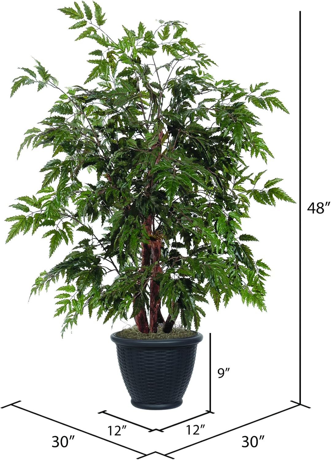 Vickerman 4 Foot Artificial Ming Aralia Bush in Rattan Basket