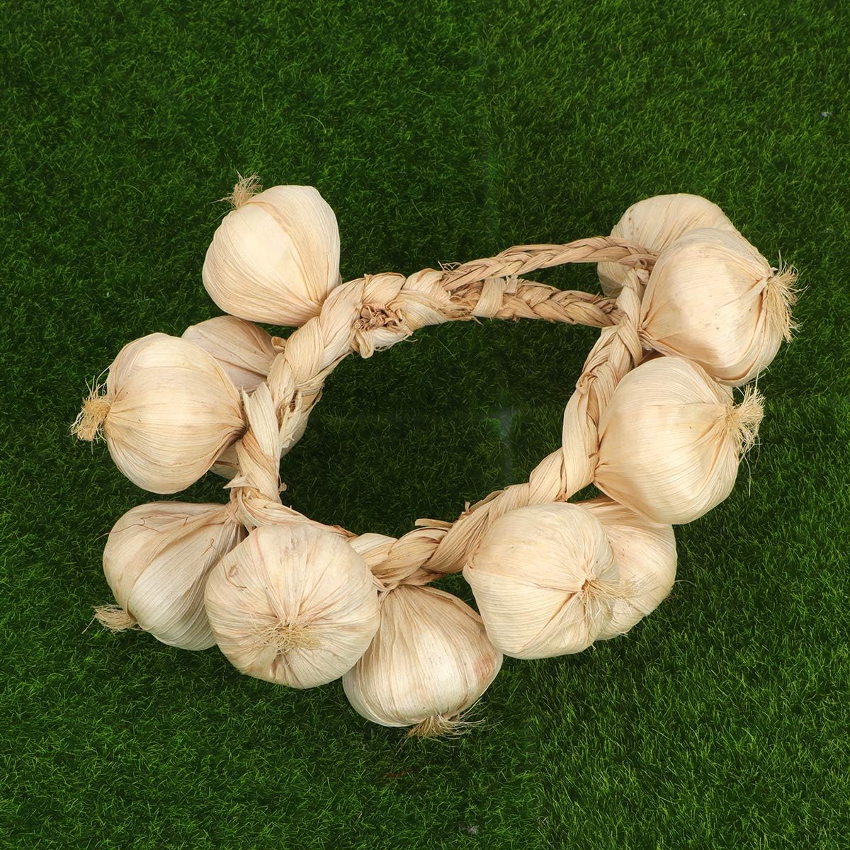 BESPORTBLE Garlic Hanging Strings for Home and Halloween Decor