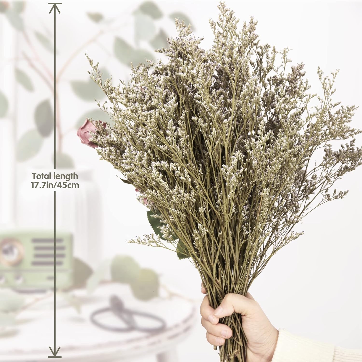 Saipro Preserved Limonium Bouquet 25 Stems Real Fresh Sea Lavender