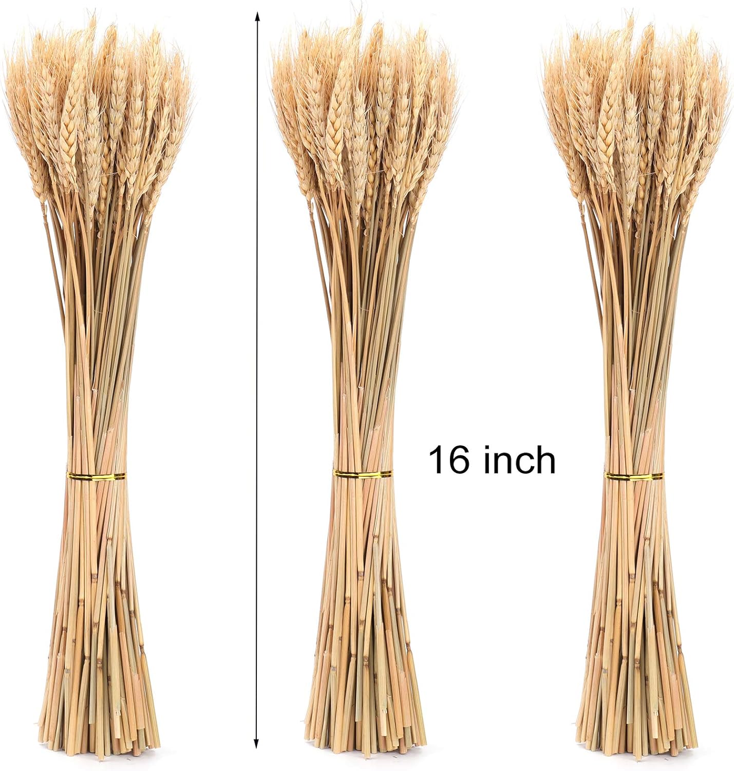 Yarlung 300 Stems Dried Wheat Sheaves 16 Inch NaturalFall Decor