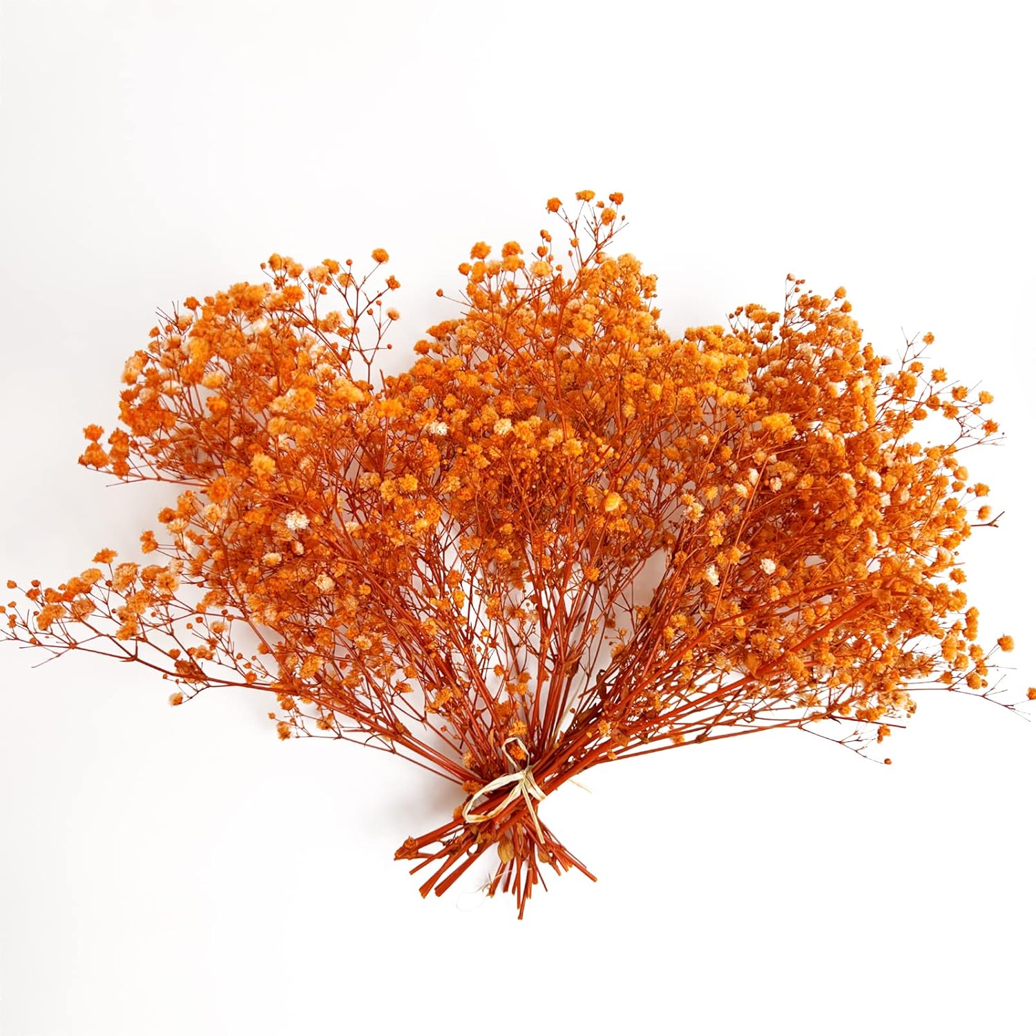 Preserved Babys Breath Flowers 3 Bunches Orange