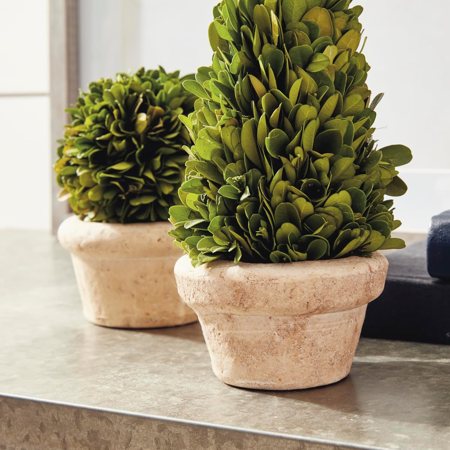Traditional Garden Boxwood Topiaries Set Of 5 Green