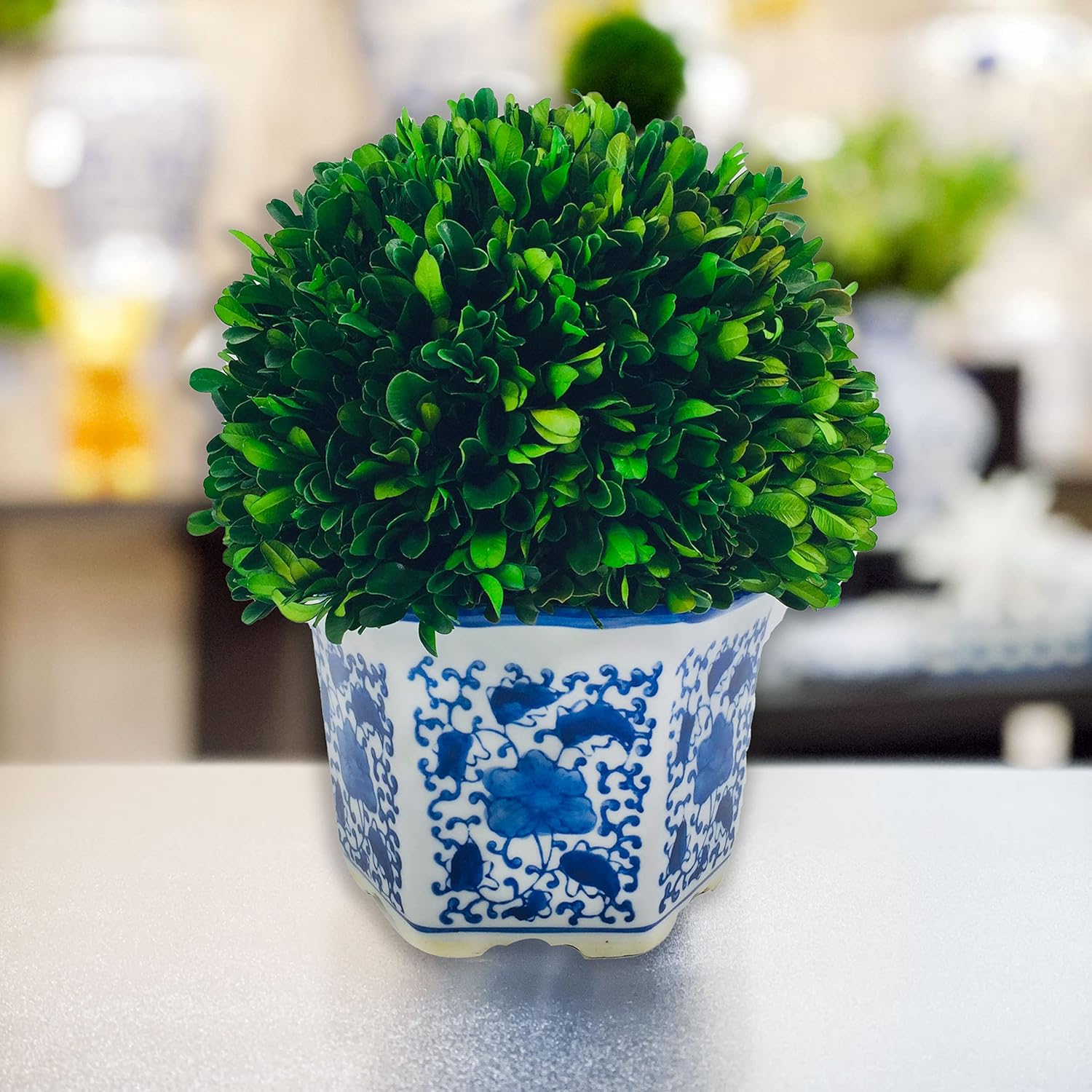 Galt International Preserved Boxwood Topiaries Blue White Pot 11 Ball 19 Tree