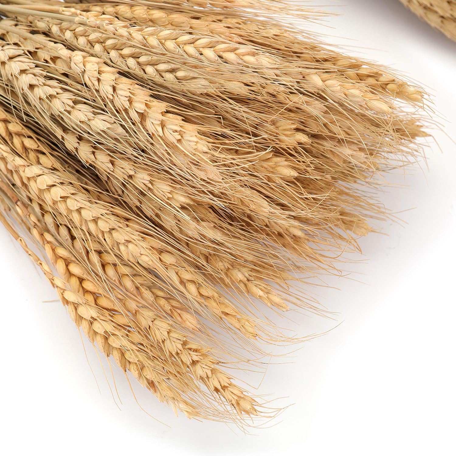 Yarlung 300 Stems Dried Wheat Sheaves 16 Inch NaturalFall Decor